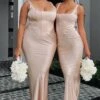 I Wanna Be Yours Maxi Dress Champagne | Elegant Women's Dress 2 I Wanna Be Yours Maxi Dress Champagne | Elegant Women's Dress -White Fox Sales IMG 8496